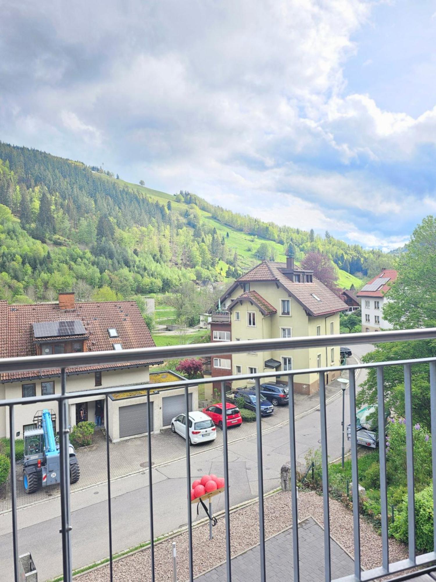 Black Forest II Sauna I Boxspring I Nespresso I Ausblick I Wasserfaelle Im Ort Todtnau Bagian luar foto